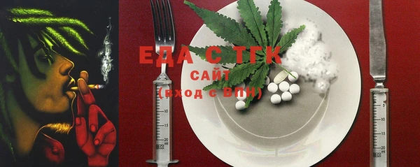 прущие грибы Елабуга