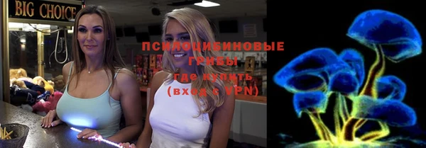 прущие грибы Елабуга