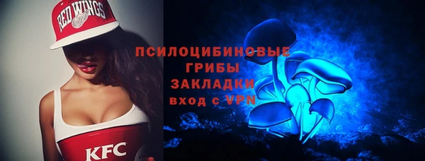 прущие грибы Елабуга