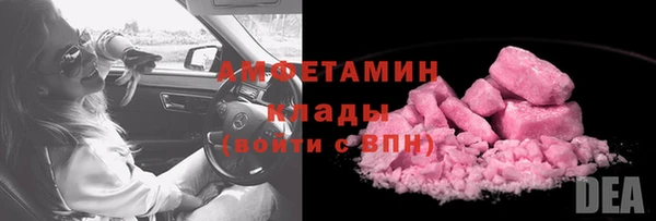 прущие грибы Елабуга