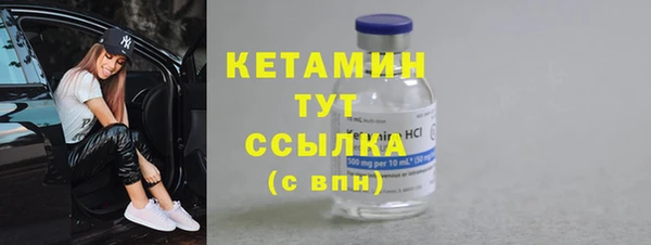 прущие грибы Елабуга
