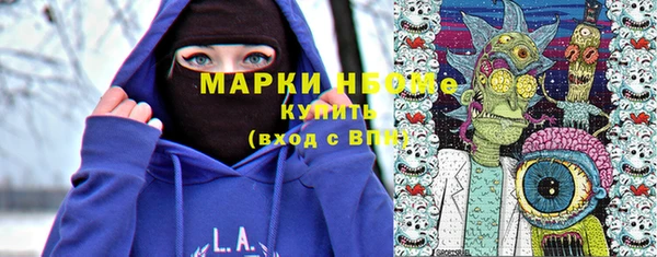прущие грибы Елабуга
