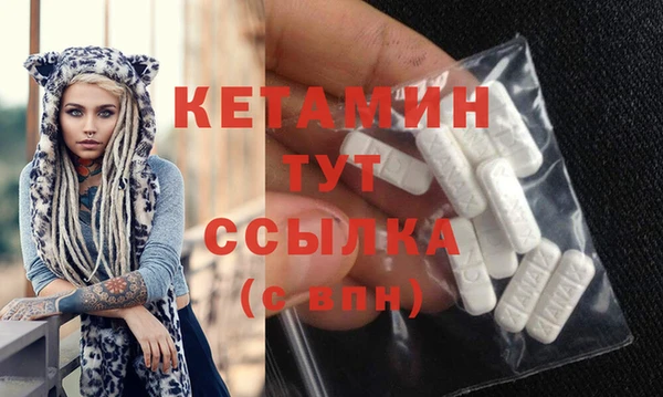 прущие грибы Елабуга