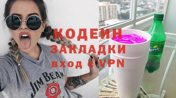 прущие грибы Елабуга
