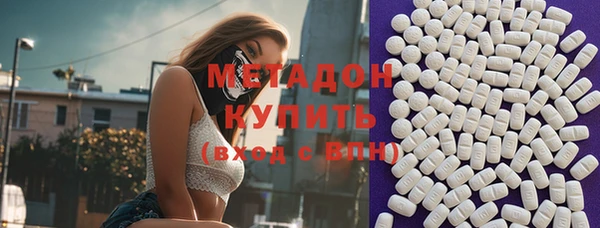 прущие грибы Елабуга